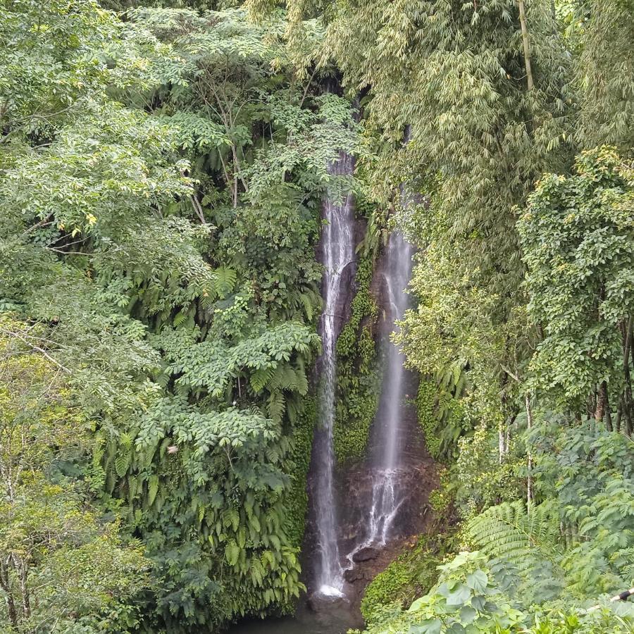 Munduk Tutub Waterfall View 외부 사진