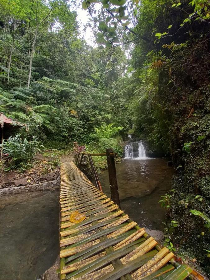 Munduk Tutub Waterfall View 외부 사진