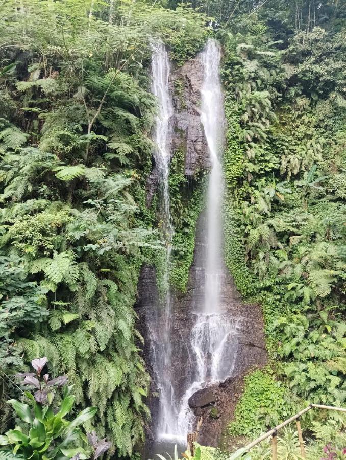 Munduk Tutub Waterfall View 외부 사진