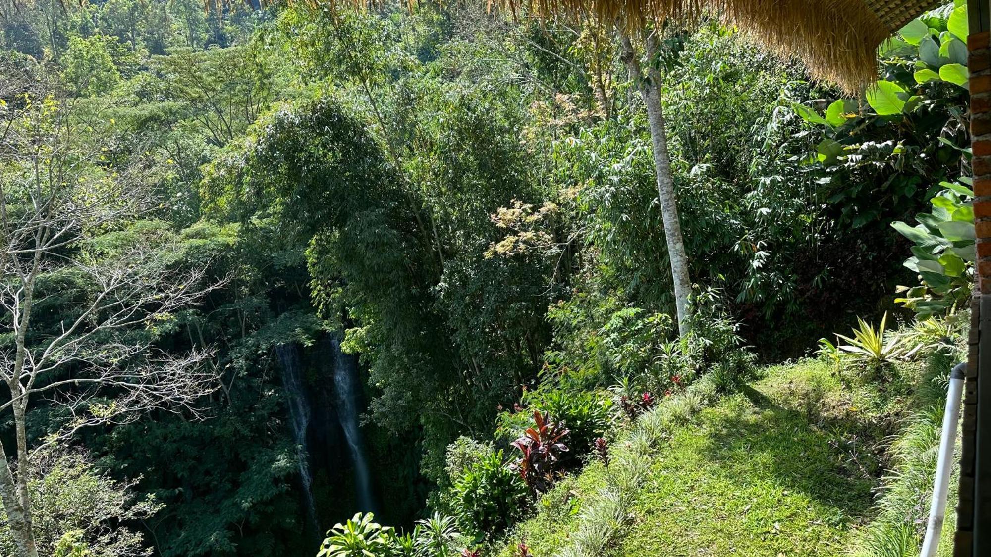 Munduk Tutub Waterfall View 외부 사진